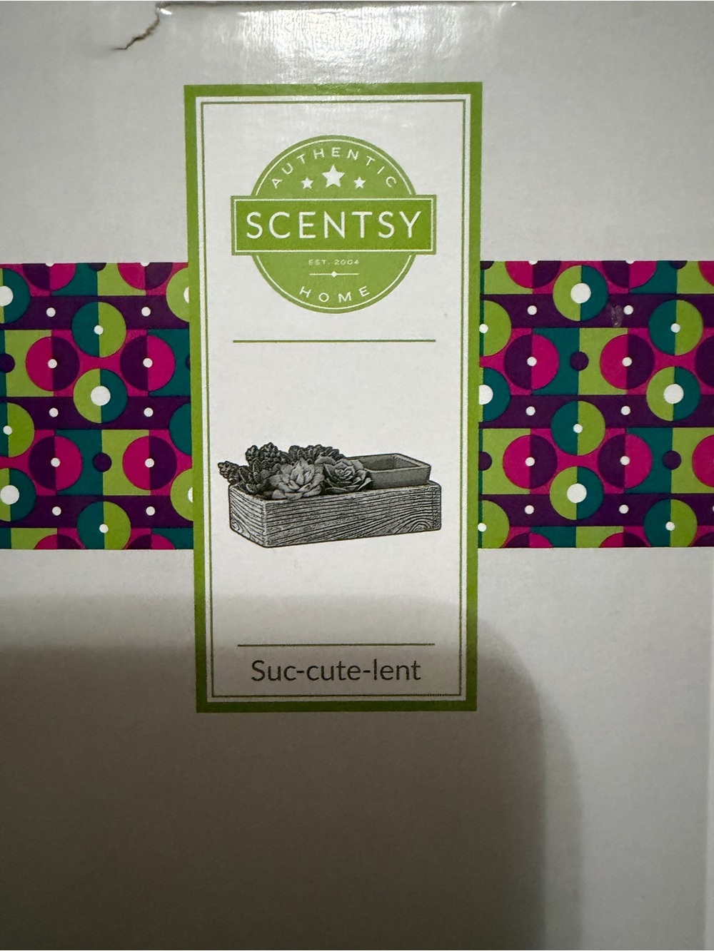 Scentsy Decorative Succulent Tray with Green and Purple Accents